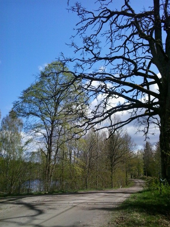 2014-05-01 14.36.31.jpg