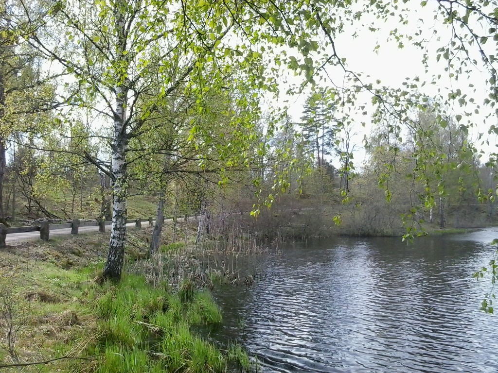 2014-05-01 14.41.28.jpg