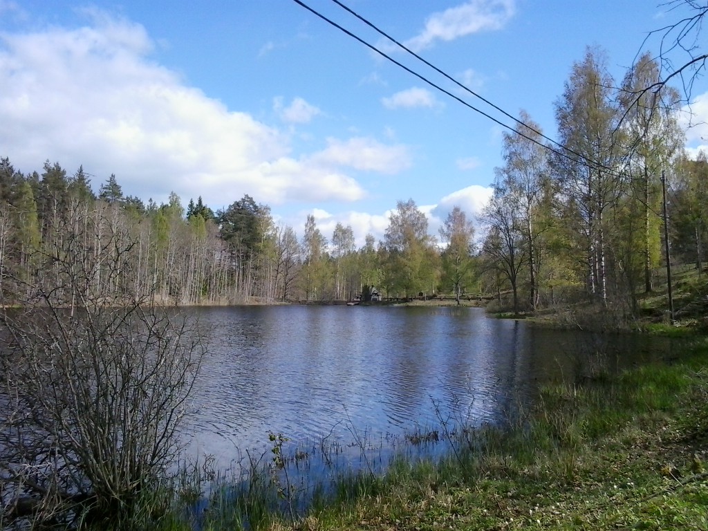 2014-05-01 14.39.12.jpg